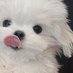 slow_벼리⋆˚🐾˖°🤍ྀི (@dollyeojy) Twitter profile photo slow_벼리⋆˚🐾˖°🤍ྀི (@dollyeojy) Twitter profile photo