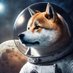 SPACEDOGE (@space___doge) Twitter profile photo