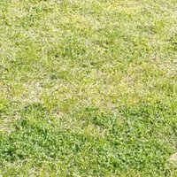 Visc Trad (@viscotrading) 's Twitter Profile