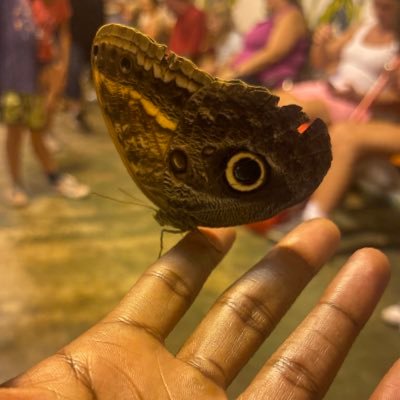 honchohoudini's profile picture. ☯️