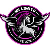 No Limits (@_nolimits2k) 's Twitter Profile