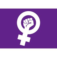 Contra La Violencia Política de Genero (@pol_sinmachos) 's Twitter Profile