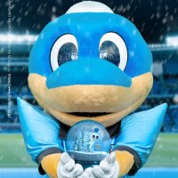 hirokiman (@k13l8h14b13h13) 's Twitter Profile