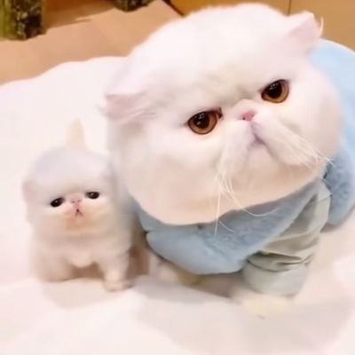 VaiktorM72486's profile picture. 