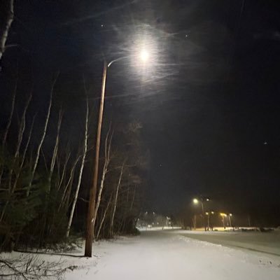 monkeyz1997's profile picture. 