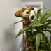 George Giraffe (@asskickergeorge) Twitter profile photo George Giraffe (@asskickergeorge) Twitter profile photo
