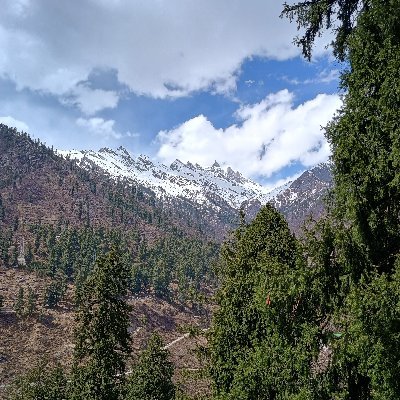 rohitsilverback's profile picture. Football, running, travelling, reading...... exploring, nature lover