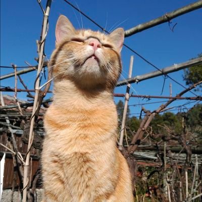 Marixel61's profile picture. 