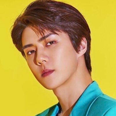 sehuntier Profile Picture
