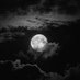 تـمـيميـةة506 (@tmiii05) Twitter profile photo تـمـيميـةة506 (@tmiii05) Twitter profile photo