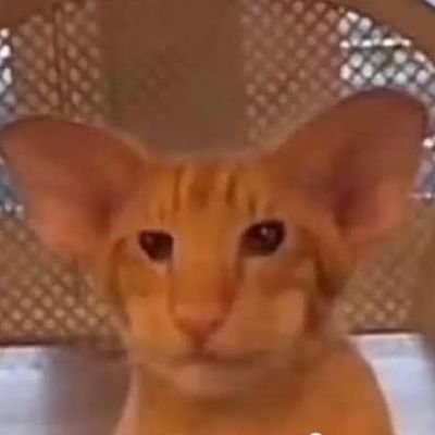 Yupiさんのプロフィール画像
