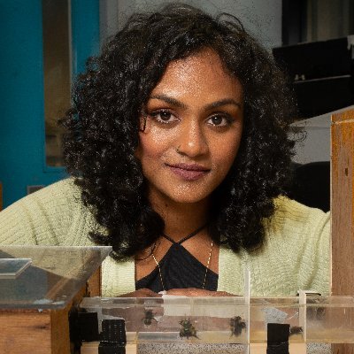 Hiruni Samadi, Galpayage Dona | Postdoc | Biology - Behaviour - Bees | Pronounced sʌmɑ:ði: gʌlpɑ:aɪəge | She/her