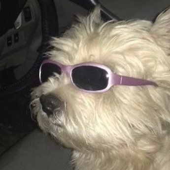 _MildMild_'s profile picture. 🌸🌫