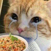 katsu (@kaatsucurry) 's Twitter Profile