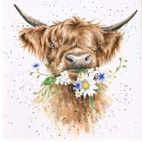 @Cow-Cousin (@mar1979126) 's Twitter Profile Photo @Cow-Cousin (@mar1979126) 's Twitter Profile Photo