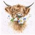 @Cow-Cousin (@mar1979126) Twitter profile photo @Cow-Cousin (@mar1979126) Twitter profile photo