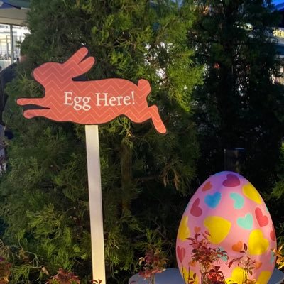 quakemay's profile picture. ♢うさデグの館♢🐰3ぴょんず🐭2デグず♢🐰長女ほっちぃ（もうすぐ8歳）in酸素室♢高校野球（横高推し）♢ハーブファスティング🌿♢無言フォロー ദ്ദി^._.^)&失礼します♢♢