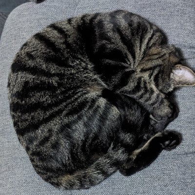 hidepon_99's profile picture. 1968年生まれ。55歳を過ぎて劣化が激しいです😢2015年7月から株式投資開始、IPOで年に数回ちょっと良い事ある程度。2022年から株主優待&不動産クラファン(不動産クラウドファンディング)始めました。我が家の四男マックスくん2歳でも成長続け5.5kg✌