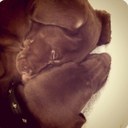 Louis&Vuitton Jenner - @LouisVuittonJen - Twitter