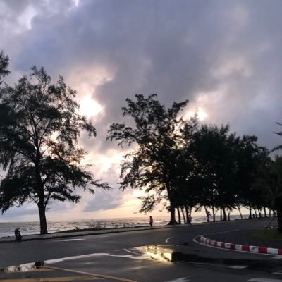 Netnapa37088825's profile picture. 