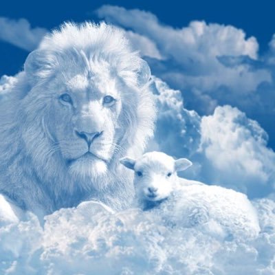 Polsaph's profile picture. God's No.1 Son! IGBO Man. Education for the less privileged. #Arsenal Fan! #CR7 #Djokovic #RealMadrid #PeterObi Jesus is GOD🙏🏽❤