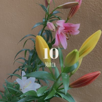 fa_tmah03's profile picture. 🇰🇼♥️