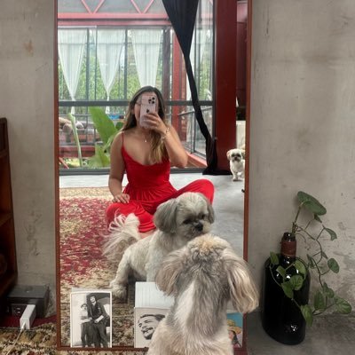 👩🏽‍⚕️💐🐶🎹🛬