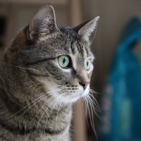 Berry (@mtbcdcpgx) 's Twitter Profile