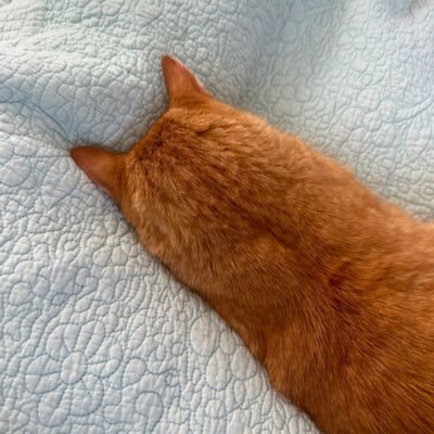 Artydruggist's profile picture. 