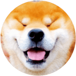 Bobu (@boburmt) 's Twitter Profile