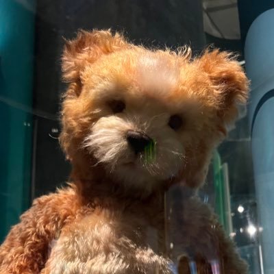 MaxH34dSpace's profile picture. GEOINT Sr Analyst & Capability Developer, US Army Combat Veteran, Retired; Aeronautical Info Sys Eng/GIS Data Engineer; ❤️America the Beautiful 🇺🇸🫡