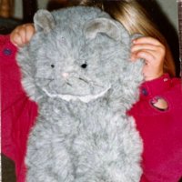 kelsey sutton (@kelseymsutton) 's Twitter Profile