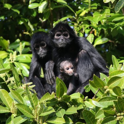 Hi I'm a disabled photographer from Liverpool who loves taking pics off animals in zoo