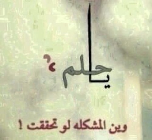 alrashidi11's profile picture. محتاجين الأدب أكثر من الثقافه