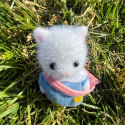 karancolie's profile picture. kinky geeky artsy ✦ 28 • french ✦ iel/elle • they/she ✦ queer • non-binary • sapphic poly mess ✦ autistic • borderline • eds