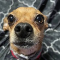J Berey (@freeinnoid) 's Twitter Profile