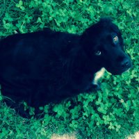 Lorenzo (@lorenzo7514) 's Twitter Profile Photo