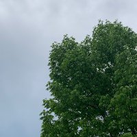 Sfunnn (@scfun123456) 's Twitter Profile