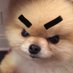 삼김이 (@minihaza) Twitter profile photo 삼김이 (@minihaza) Twitter profile photo