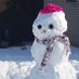 snow (@therealsnnowman) Twitter profile photo snow (@therealsnnowman) Twitter profile photo