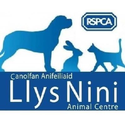 RSPCA Llys Nini rescues, rehomes and gives assistance to 1000s of animals every year.