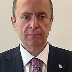 robakidze1's profile picture. PhD 
Political Science