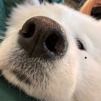 Hhhesper (@hpr423623) 's Twitter Profile Photo Hhhesper (@hpr423623) 's Twitter Profile Photo