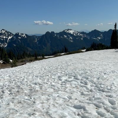 Ghasto_Asway's profile picture. SUA Alumni🎓/Professionalism:Agronomist🌱/⚽️manutd/ Junior Entomologist🐜