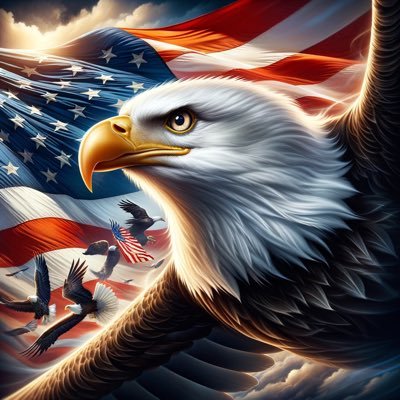 RightReasonsUSA's profile picture. Voice of reason in a sea of noise. Unapologetic conservative & staunch Zionist. I bring facts to fantasy fights—come prepared or don’t come at all. #StandFirm