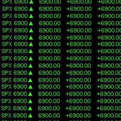 Comparing S&P 500 and S&P 6900 performances