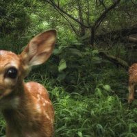 Walaa 🦩 (@walaaadel90) Twitter profile photo