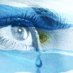 Luis Alberto (@luislacarril) Twitter profile photo Luis Alberto (@luislacarril) Twitter profile photo