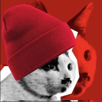 cowcatrespecter Profile Picture