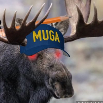 Anti-fascist Mutant Moose from the #NAFO bio-labs. Slava Ukraini🇺🇦